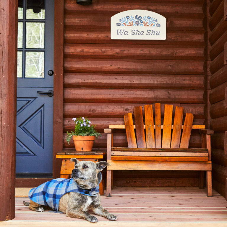 dog sitting outside cabin
