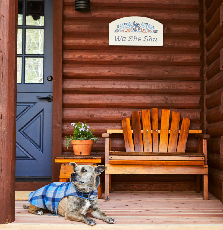Dog sitting on the porch of a cabin