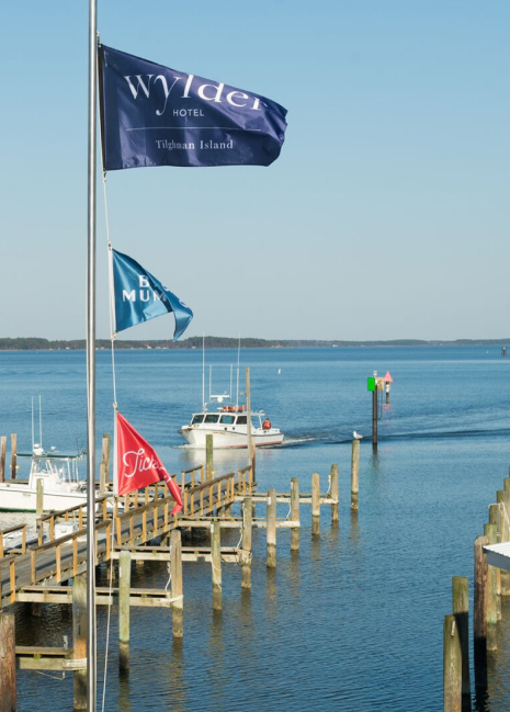 Wydler Hotel flag with the water and dock in the background