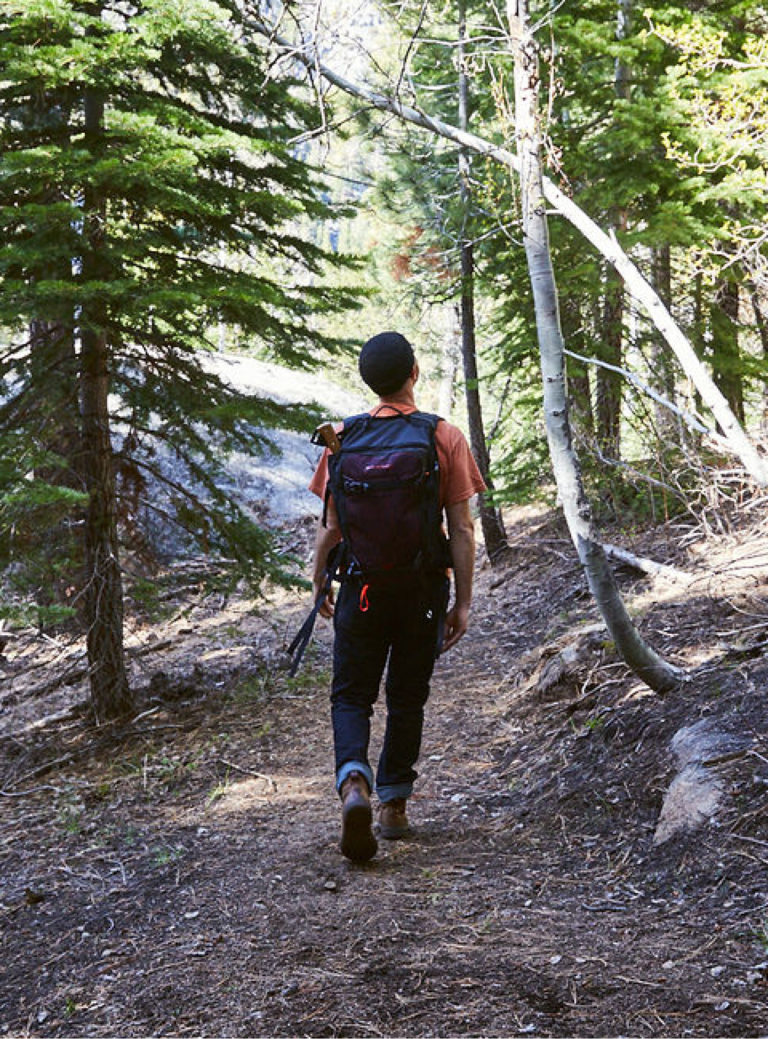 Man hiking in the forest