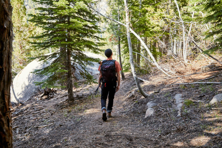 Man hiking in the forest