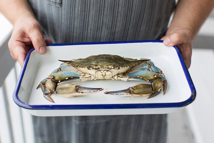 Whole crab on a plate