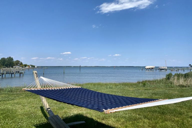 Hammock with view of water