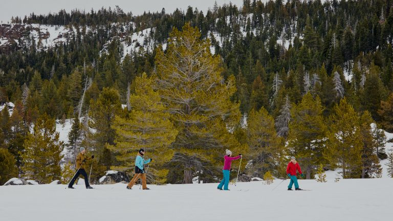 Winter Wonderland Group Cross Country Ski Lessons