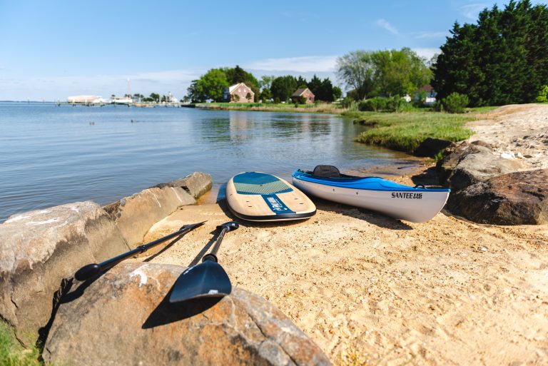 kayak and paddleboarding on the bay