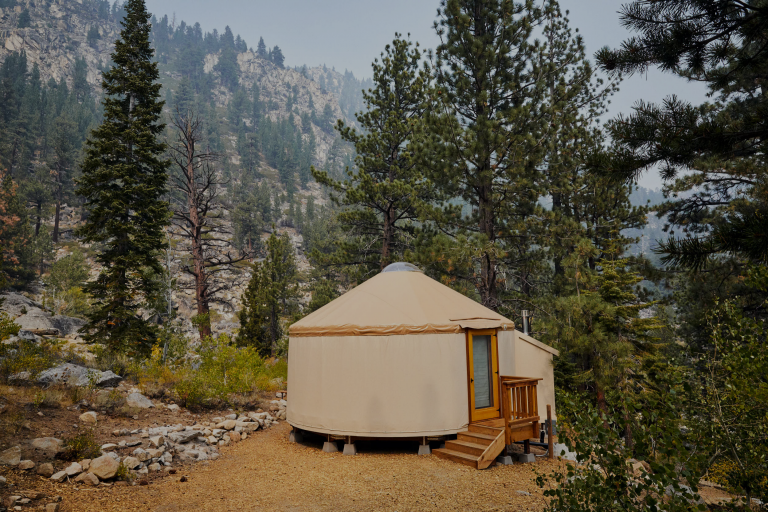 Yurt surrounded by tress and wilderness