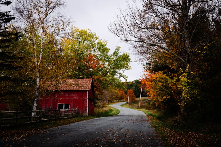 Fall Trees and red barn on the country road