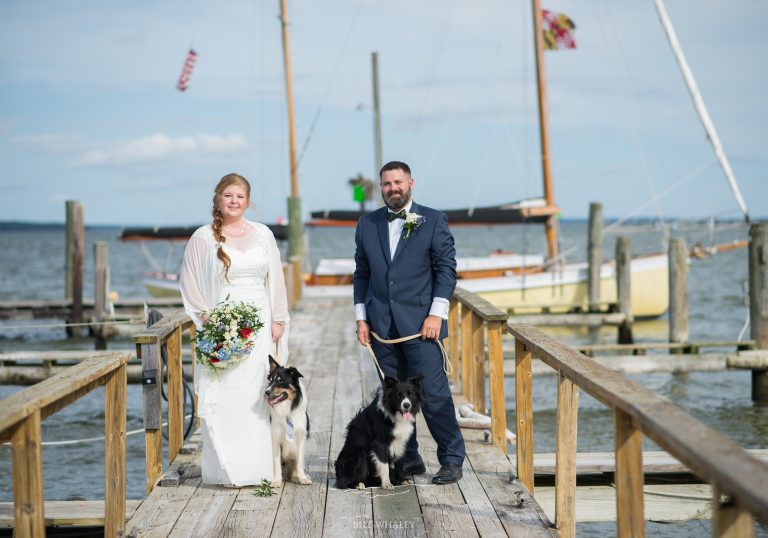 Bride and Groom on the dock with dogs