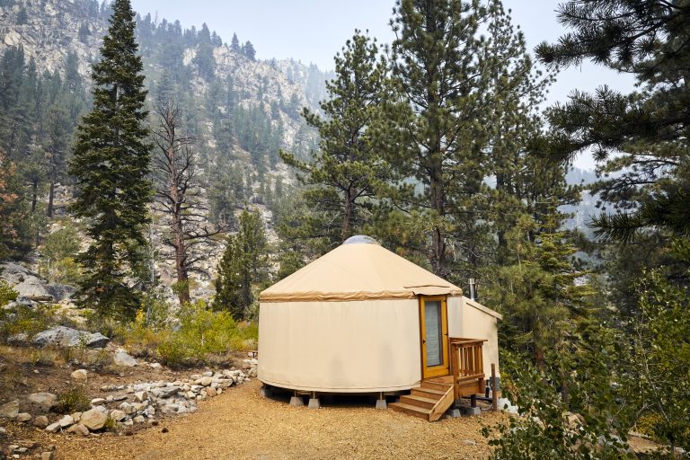 yurt in woods