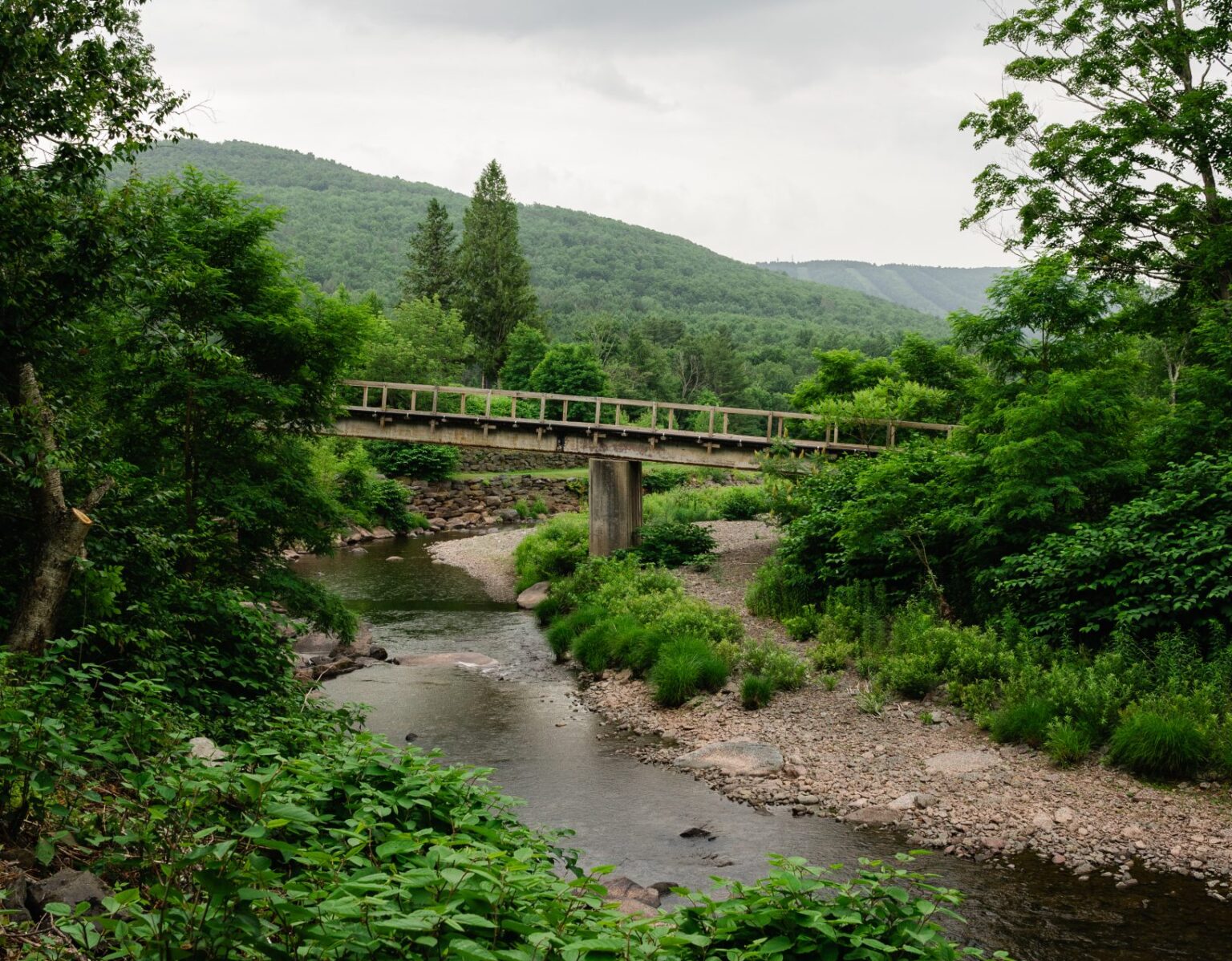 Windham Rail Trail