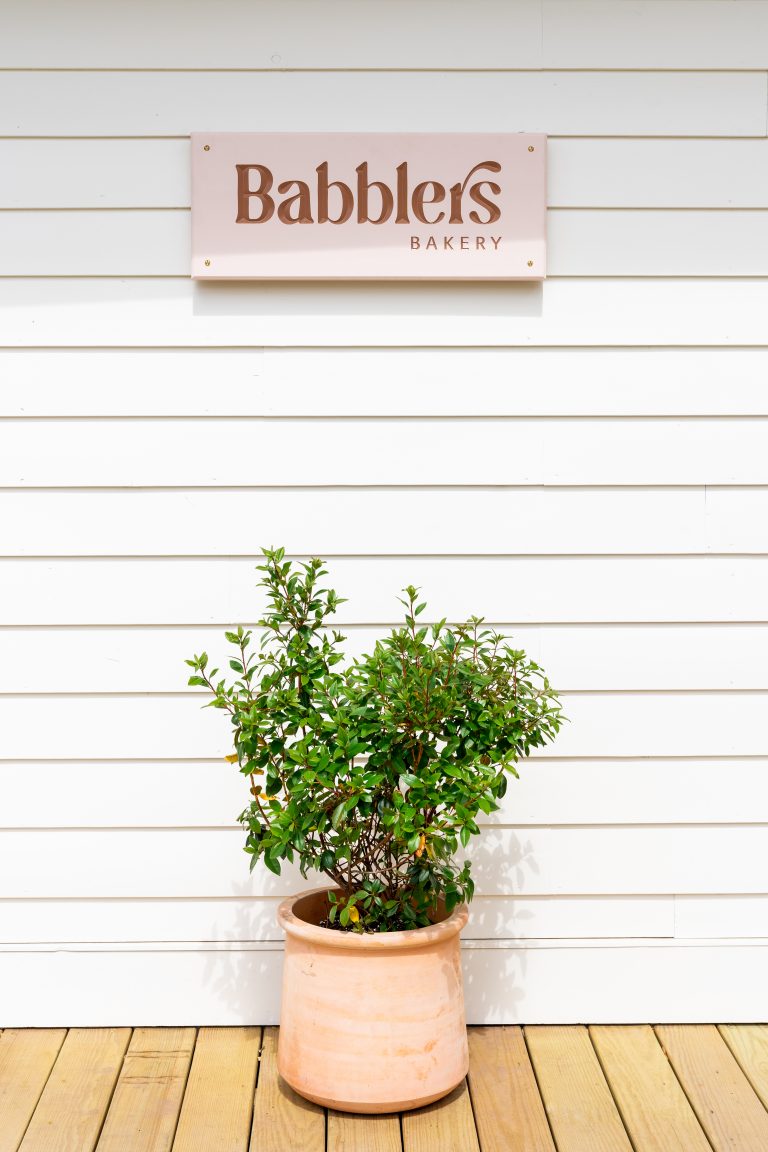 babblers sign