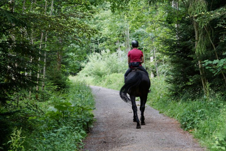 Mountain Brook Farm horseback riding